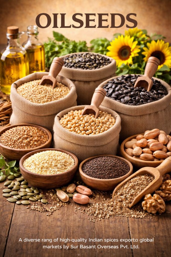 Premium export-quality oilseeds including sesame, soybean, sunflower, flax and peanuts from India