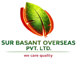 Sur Basant Overseas Pvt. Ltd. logo – Indian exporter of grains, spices, oilseeds and food products